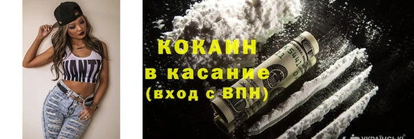сатива Орск