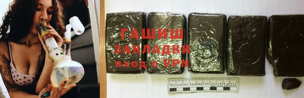 прущие грибы Великий Новгород