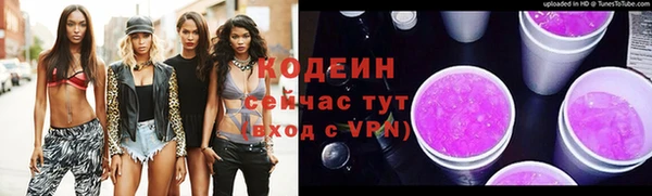 индика Домодедово