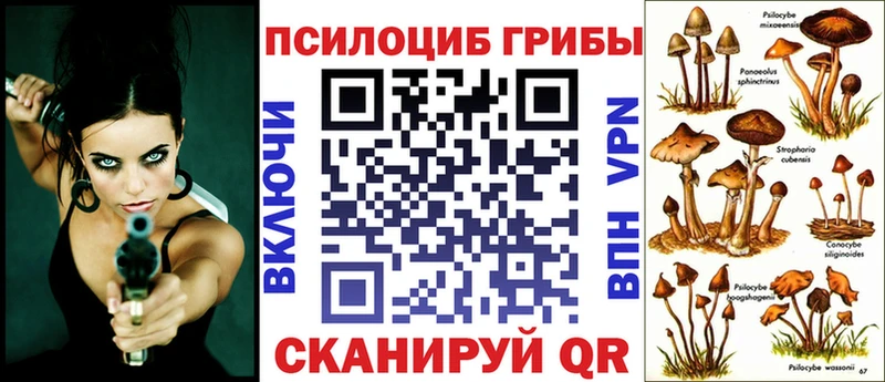 Псилоцибиновые грибы прущие грибы  наркошоп  Рассказово 